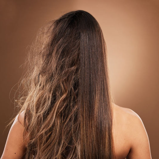 Hair Certification Course - Level 1 (Hair Anatomy, Types & Care)